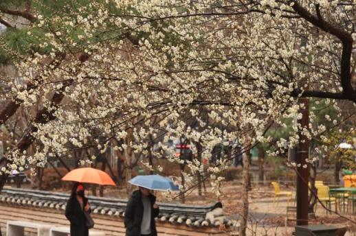 Light drizzles wash away fine dust