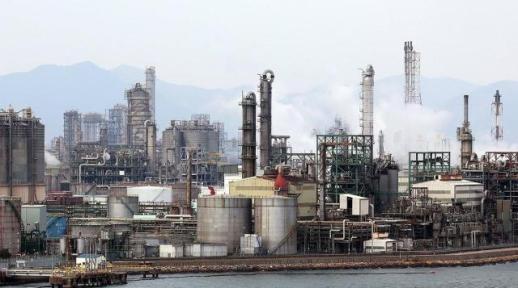 여수 석화, 경쟁 접고 공동 생산으로…각자도생 끝났다