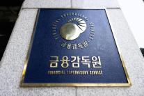 금감원, 보험사기 특별 신고·포상기간 10월까지 연장