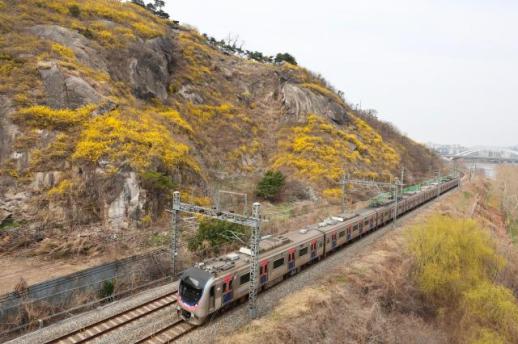 Spring is finally here, heralded by first blossoms