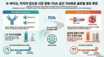  K-항암제 美 담도암 시장 정조준…에이비엘·HLB, FDA 가속승인 가시권