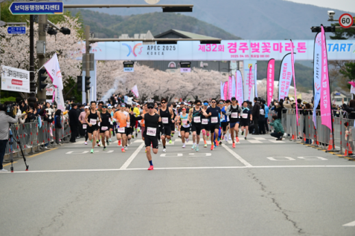 韩国庆州樱花马拉松吸引551名外国参赛者