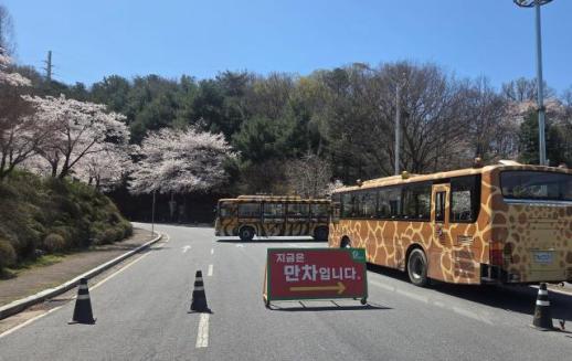 大田动物园一匹狼出逃