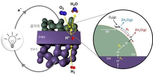KIST cracks long-elusive reaction mechanism in next-gen hydrogen fuel cells