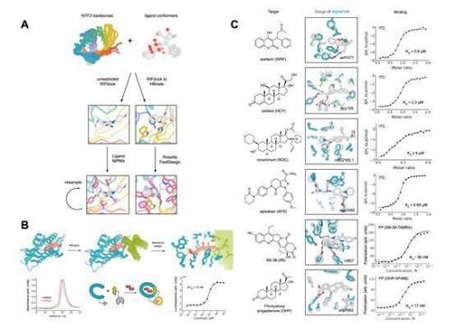 KAIST researchers and Nobel winner David Baker develop AI protein sensors for cortisol