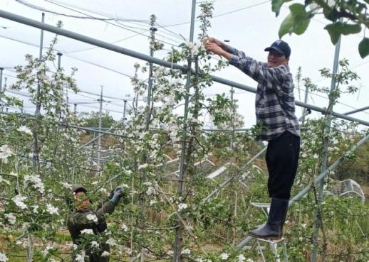 【亚洲人之声】外籍劳工撑起韩国农忙 乡村振兴背后的现实之重