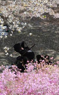Wednesday Forecast: Big Spring Temperature Swings, Highs Near 20 C