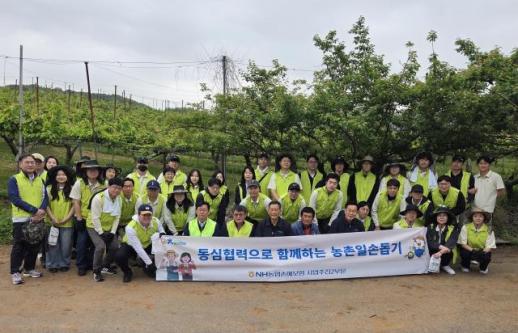 [보험업계 스냅샷] NH농협손보, 영농철 농촌 일손돕기 실시 外