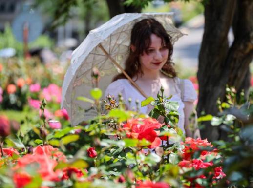 Annual rose festival set to open in Seoul this week