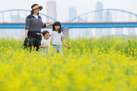 佛诞节连休收尾 首尔市民享受初夏踏青时光