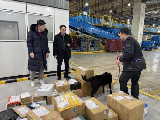 AI Technology Competes with Drug Detection Dogs