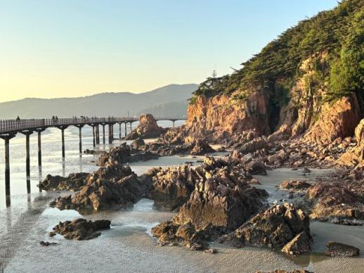 Incheons Hanagae Beach opens for summer season
