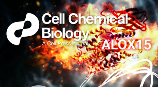 Researchers discover natural substance capable of slowing down cancer cell growth
