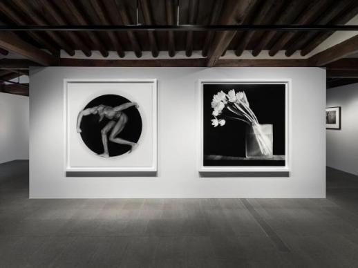 Robert Mapplethorpes The Poetics of Form Exhibition Showcases Classic Aesthetics