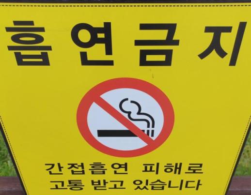 아버지에 대한 조롱에 흉기 든 지적장애 아들… 상습 흡연 갈등이 부른 비극, 부자 불구속 송치