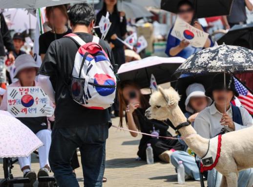 Protesters rally with alpaca in Seoul
