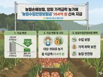 [보험업계 스냅샷] NH농협손보, 양파 농가에 농업수입안정보험금 154억원 지급 外