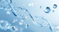 모더나 독감백신 美 승인 눈앞…국내 mRNA 백신 개발 경쟁도 탄력