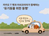 카카오 T 펫, 러쉬코리아와 유기동물 캠페인…앱에서 쓰다듬으면 1000원 기부