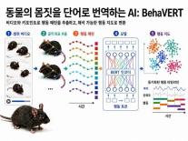 KAIST, 동물 몸짓 읽는 AI 개발…신약·정신질환 연구 속도 낸다