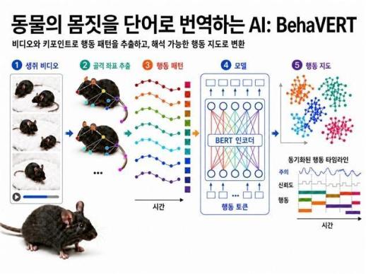 KAIST, 동물 몸짓 읽는 AI 개발…신약·정신질환 연구 속도 낸다