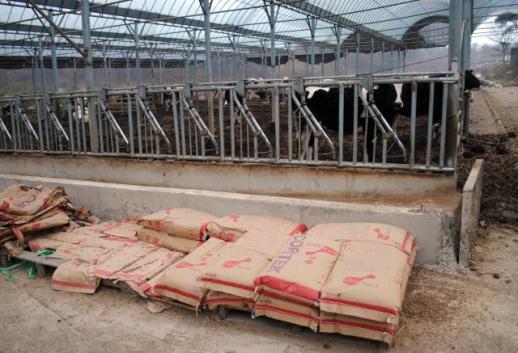 10万亿韩元规模的淀粉糖价格垄断案首场审判， 대상公司否认指控