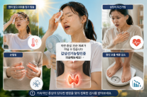 [안서희의 라이프 리포트]  땀 많고 심장 두근? 단순 더위 아닌 갑상선 이상일 수도