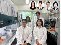 항암제 넣기 전에 먼저 알았다…KAIST, 뇌종양 환자 맞춤 칩 개발