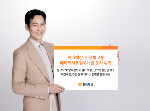 [보험업계 스냅샷] 현대해상, 신담보 2종 배타적사용권 6개월 획득 外
