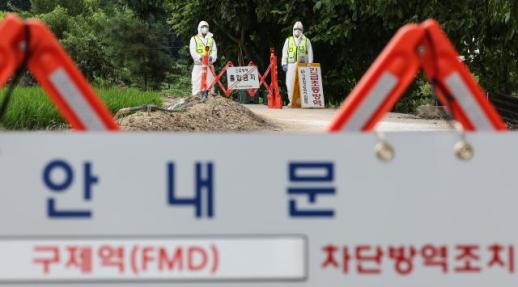 韩国庆北例天发生口蹄疫，7个市县实施24小时移动禁令