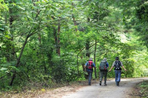 28年专业经验助力胜宇旅行社成为创业公司