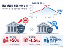 한은 원·달러 환율 급등에 은행 자본비율 부담…7월 이후 완화 가능