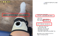 치약은 잇몸재생, 화장품은 보톡스…의료제품 온라인 부당광고 308건 적발