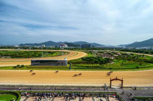 렛츠런파크釜山庆南将举行10月秋季赛马‘连续三周大赛’