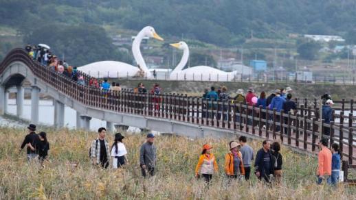 第11届强镇舞动芦苇节将于24日开幕
