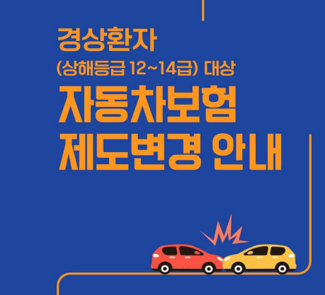 손보협회, 자동차보험 경상환자 8주룰 피해 신고센터 운영…12일부터 접수