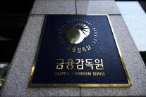 금감원, PEF 운용사 30곳 내부통제 점검…준법감시·이해상충 집중
