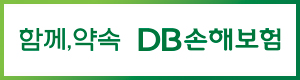 DB손해보험