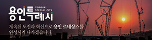 용인특례시