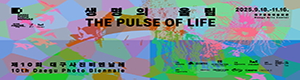 대구시청