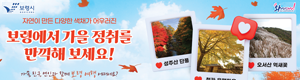 보령시