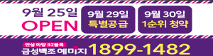 안성