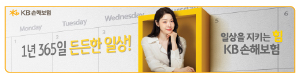 KB손해보험