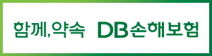 DB손해보험