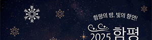함평겨울빛축제