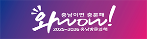충남
