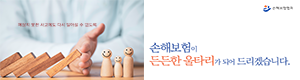 사회안전망