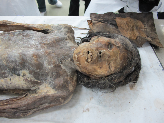 Joseon-era Mummy Discovered at Construction Site 