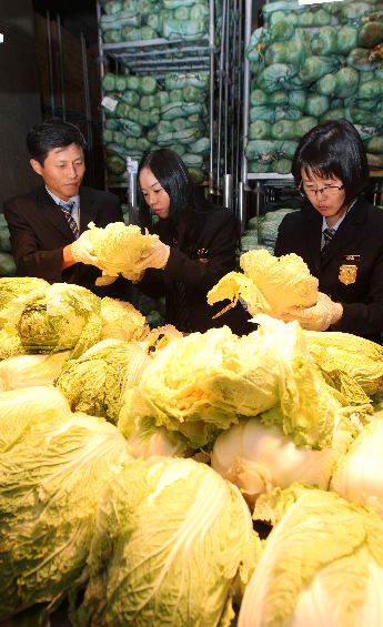 中国白菜接受检疫