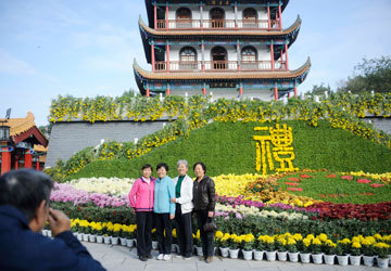 中国宁夏银川举办观菊文化节